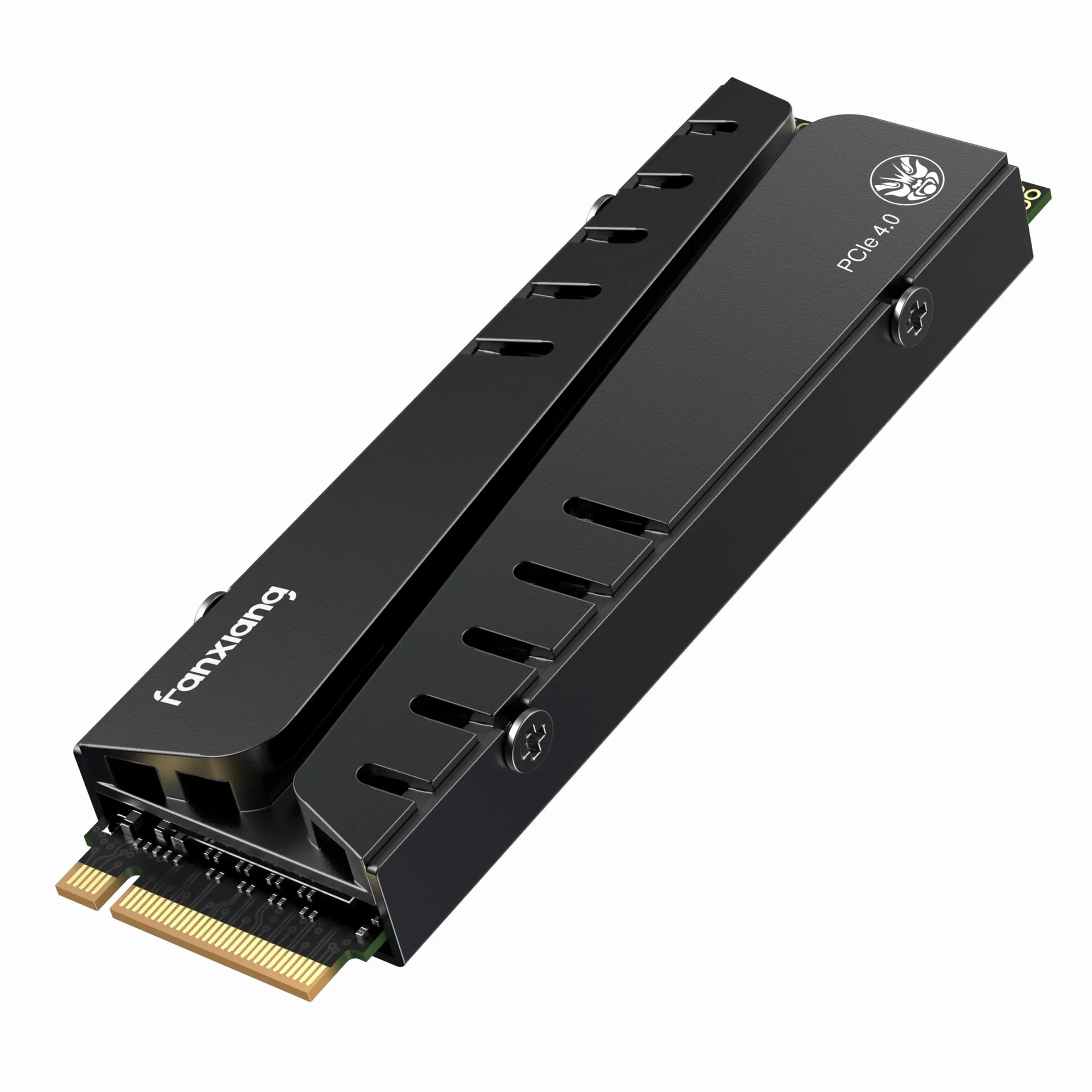 fanxiang S770 NVMe PCIe 4.0 SSD
